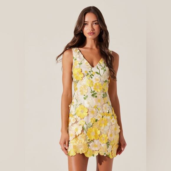ASTR The Label Aisha Floral Appliqué Mini Dress S - Picture 1 of 9
